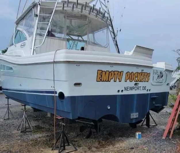 Empty Pockets Yacht Photos Pics 