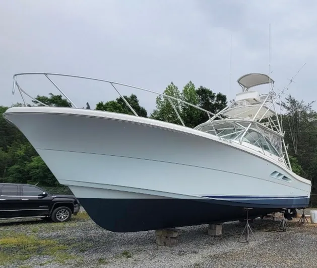 Empty Pockets Yacht Photos Pics 