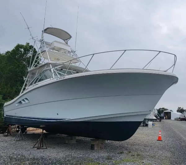 Empty Pockets Yacht Photos Pics 