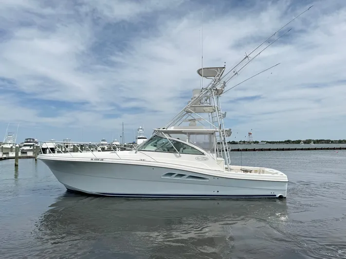 Empty Pockets Yacht Photos Pics 