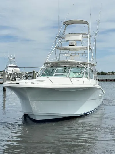 Empty Pockets Yacht Photos Pics 