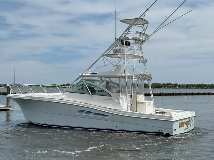 Empty Pockets Yacht Photos Pics 