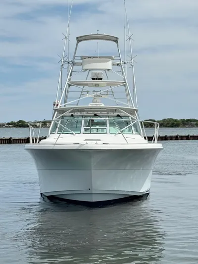 Empty Pockets Yacht Photos Pics 