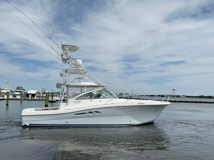 Empty Pockets Yacht Photos Pics 