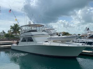 Viking 50 Conv Sport Fisher