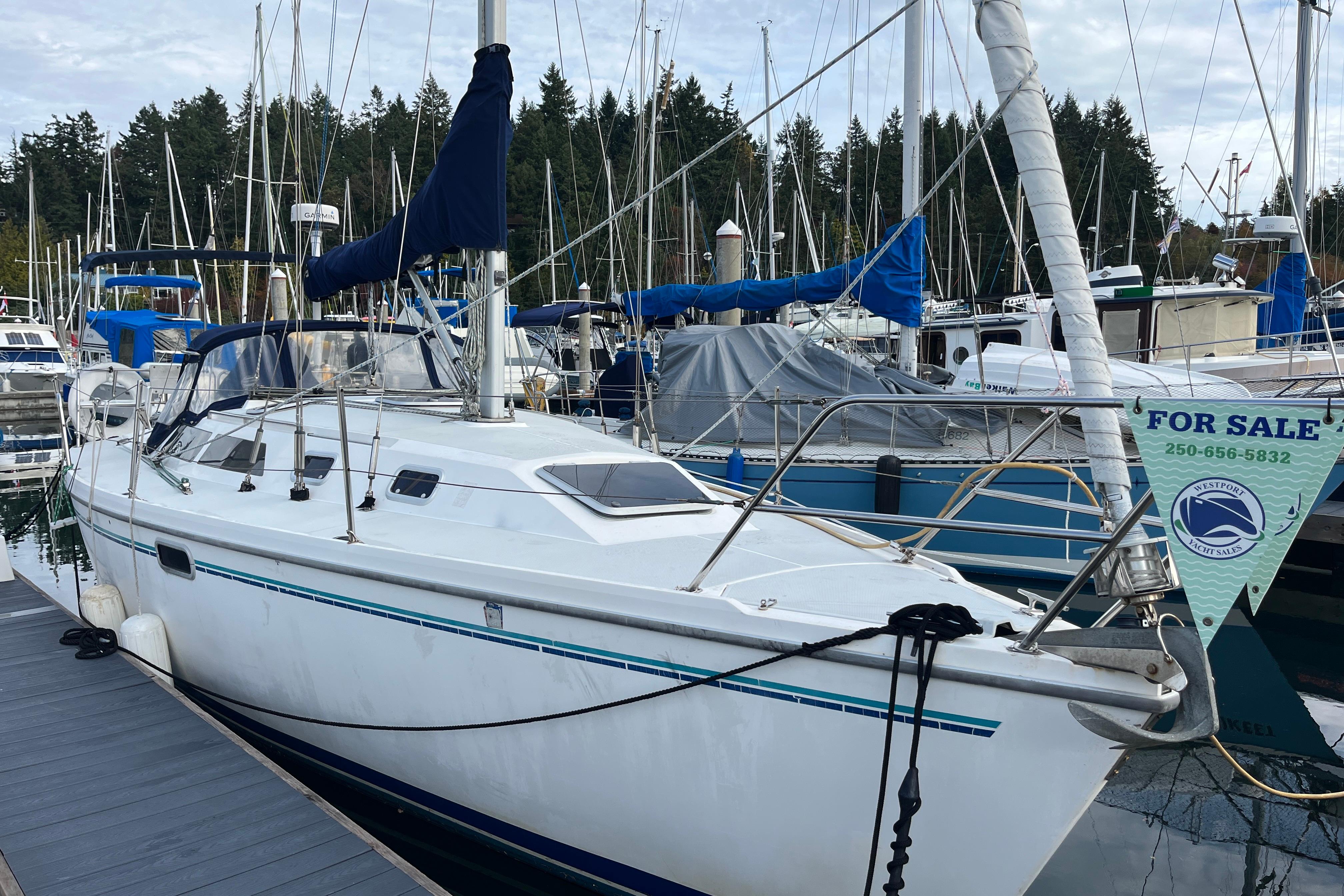 Catalina 320