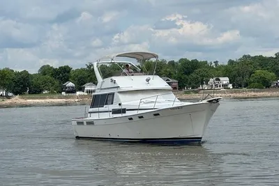 Bayliner Motoryacht