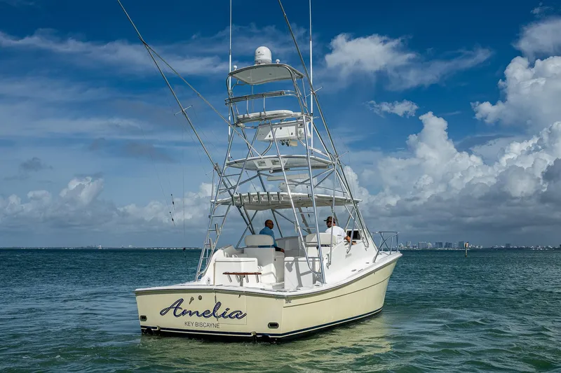  Yacht Photos Pics 2006 Topaz 32 Express boat named Amelia on open water under blue sky.