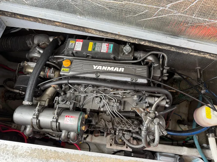 Real Therapy Yacht Photos Pics 