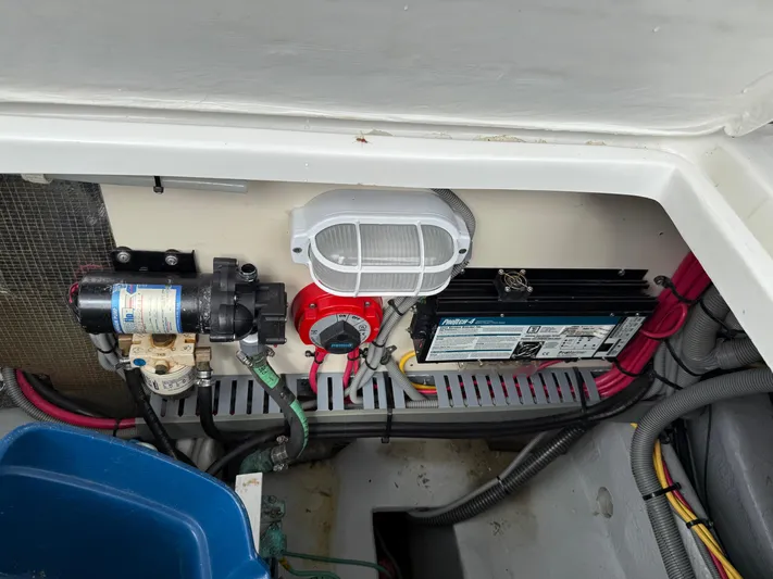 Real Therapy Yacht Photos Pics 