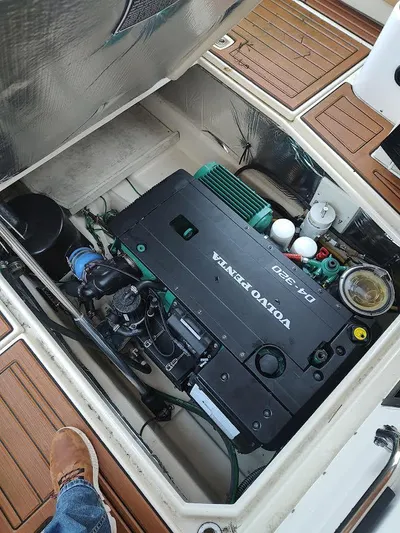 Red Diver Yacht Photos Pics 