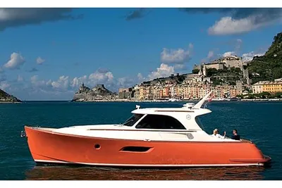 Mochi Craft 44 Dolphin