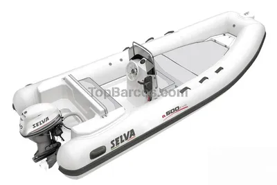 2023 SELVA MARINE D.500