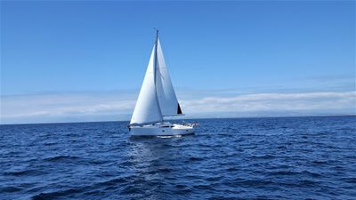 Elan Impression 384