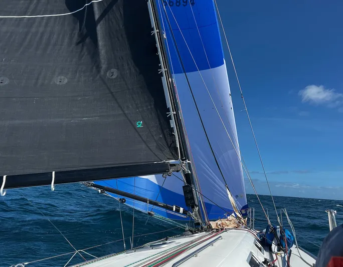Pacifico Yacht Photos Pics 