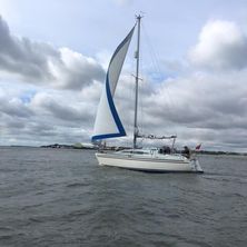 1984 Salterns Stag 28