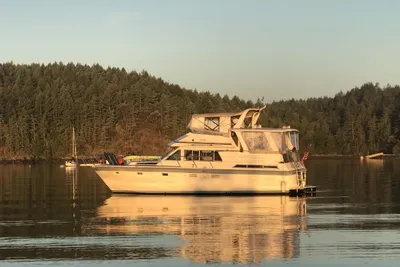 Hi-Star Sundeck