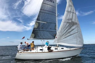 Tartan 31
