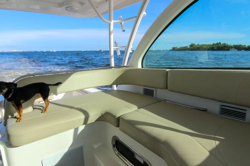  Yacht Photos Pics 2016 Pursuit OS 385 Offshore boat interior with a small dog, ocean view in background.