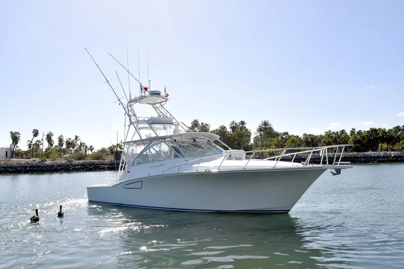 Hammertime Yacht Photos Pics 