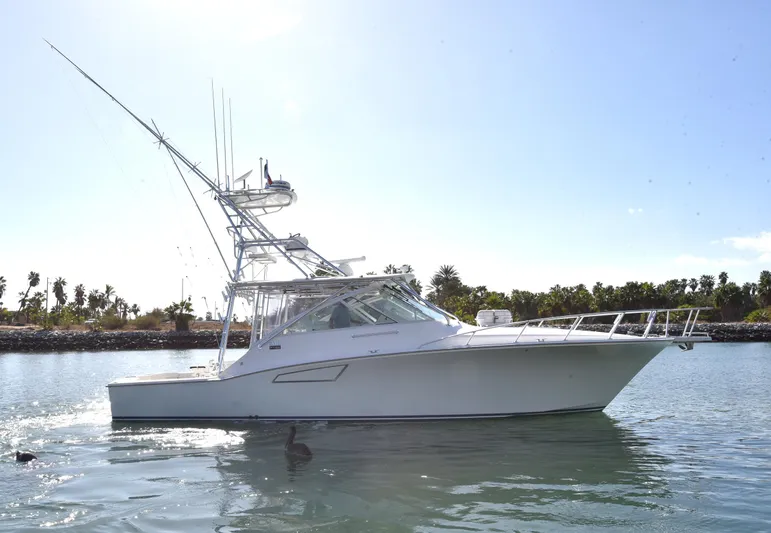 Hammertime Yacht Photos Pics 