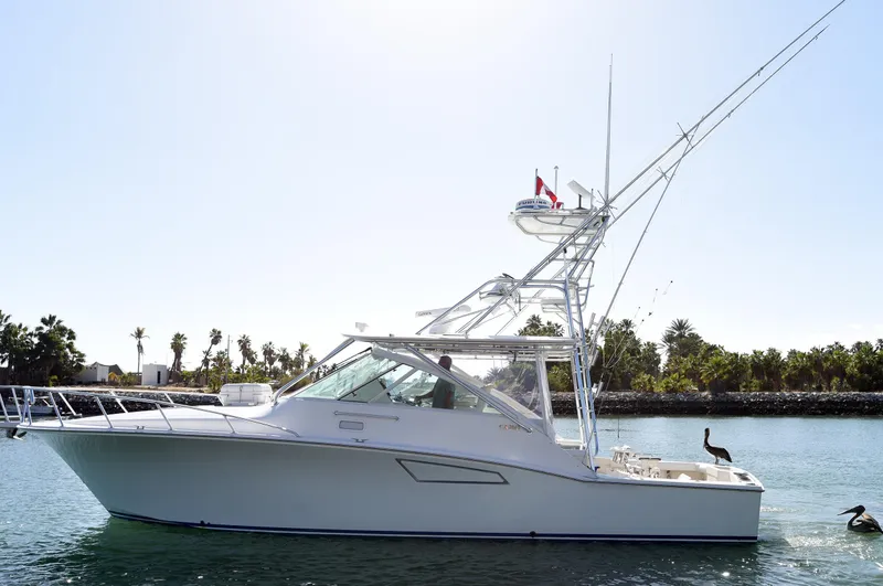 Hammertime Yacht Photos Pics 