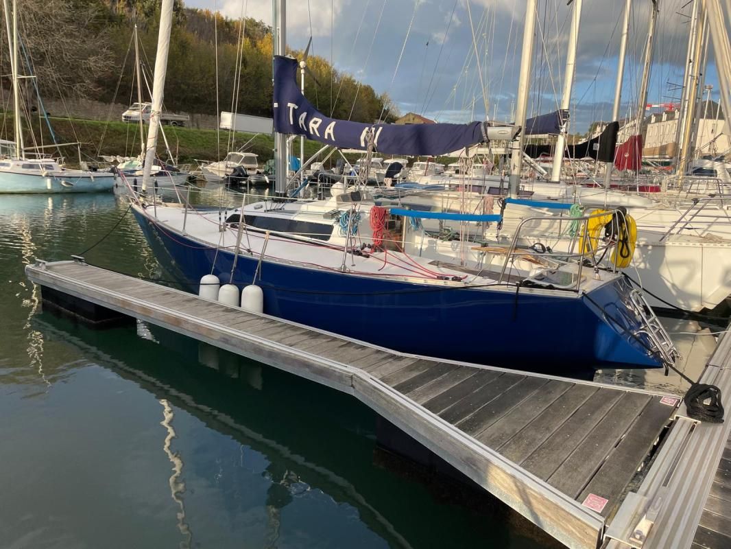 2022 Shamrock Golden Shamrock