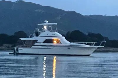 1987 Bertram 37 Convertible