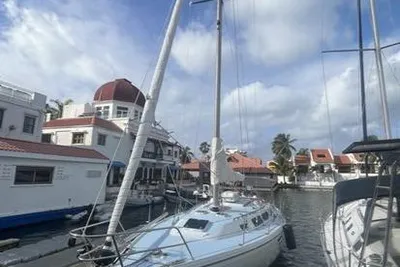 Catalina 36