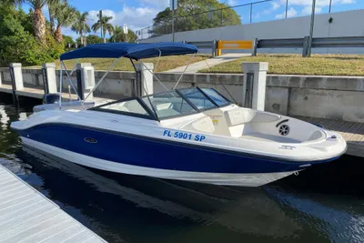 Sea Ray SPX 210 Outboard