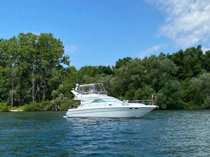  Yacht Photos Pics 2000 Sea Ray 400 Sedan Bridge yacht on a serene lake with lush green trees.
