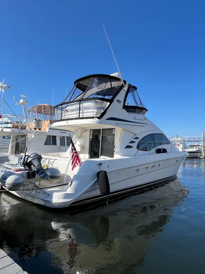 Mt Nest Yacht Photos Pics 