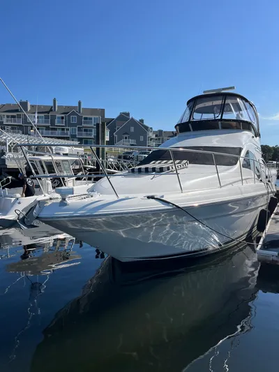 Mt Nest Yacht Photos Pics 