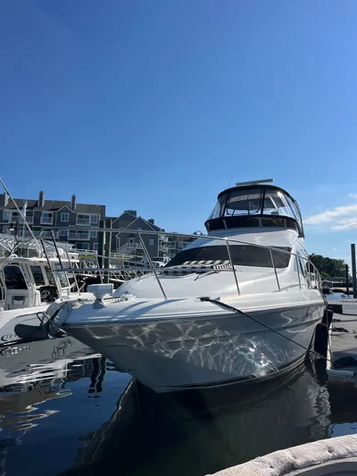 Mt Nest Yacht Photos Pics 