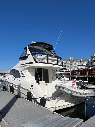 Mt Nest Yacht Photos Pics 