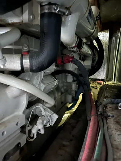 Mt Nest Yacht Photos Pics 