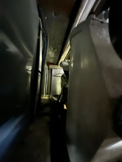 Mt Nest Yacht Photos Pics 