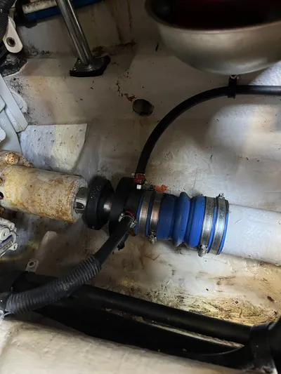 Mt Nest Yacht Photos Pics Dipless seal stbd