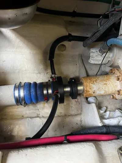 Mt Nest Yacht Photos Pics Dripless seal port