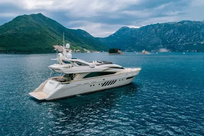 2010 Dominator 29M