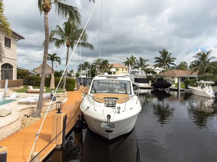  Yacht Photos Pics 2019 Sea Ray Sundancer 350 Coupe docked in a tropical marina setting.