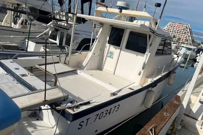 1988 Teaser Teaser 31 Sport