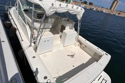 2006 Rampage 33 Express