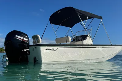 Boston Whaler 190 Montauk