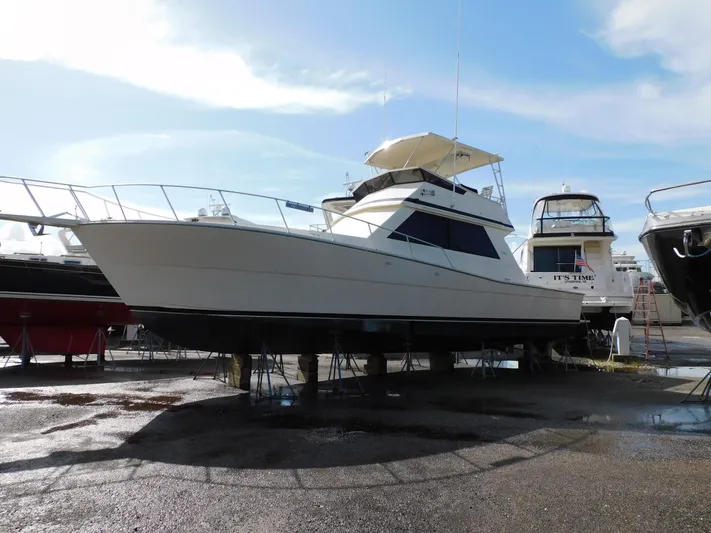 Miss Approach Yacht Photos Pics 