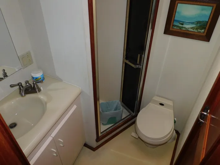 Miss Approach Yacht Photos Pics Bathroom interior of 1991 Viking 45' Convertible yacht, featuring sink, toilet, and shower.