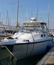2005 Boston Whaler BOSTON WHALER 305 CONQUEST