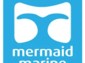 2021 Mermaid New Genuine Mermaid Spare Parts