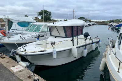 2024 Ocqueteau Ostrea 800