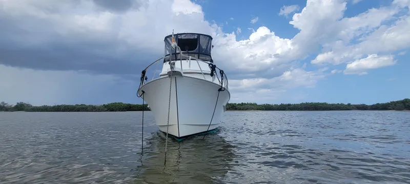 Funky Monkey Yacht Photos Pics Monk 36 (Hull #215) boat from 2001 anchored on calm water under a cloudy sky.
